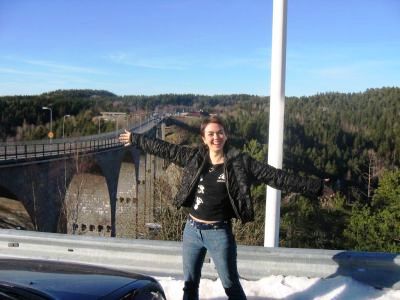 Bridge from Norway to Sweden